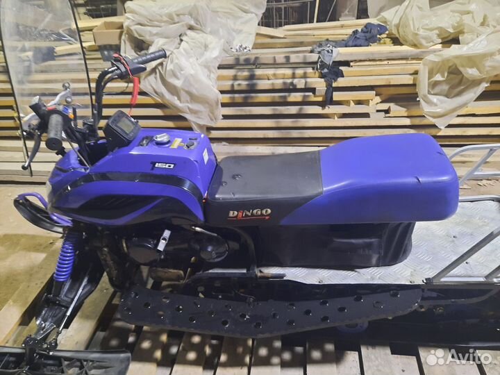 Динго 150