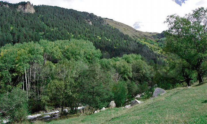 Участок 1,3 га (СНТ, ДНП)