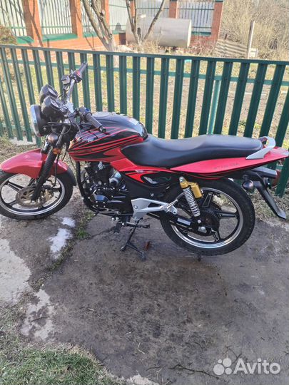 Racer RC200-C5B Magnum