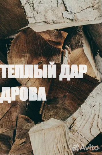 Дрова березовые купить