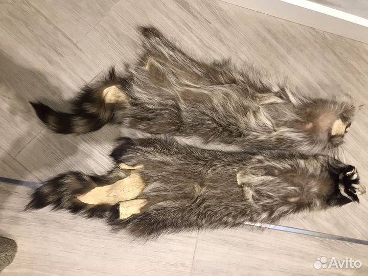 Шкура натуральная енот- полоскун