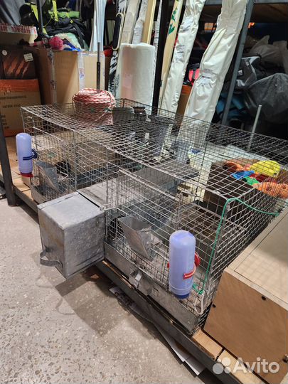 Клетка для шиншил
