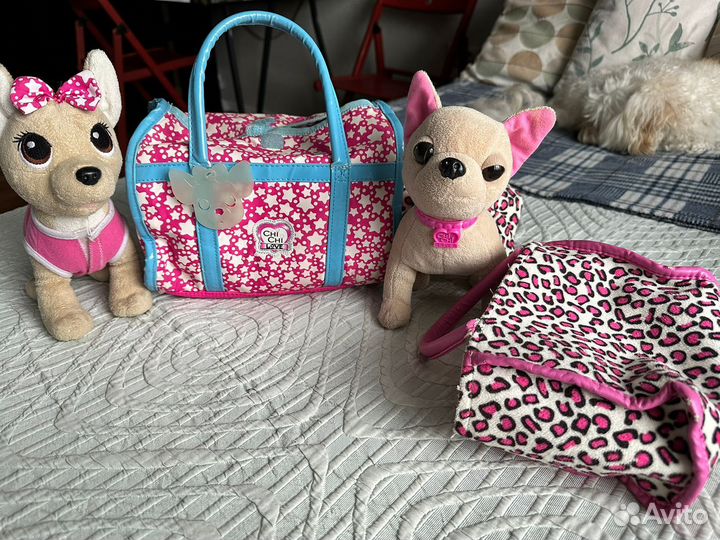 Собачки Чи Чи Лав