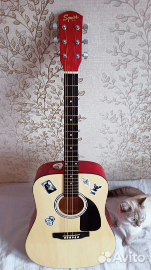 Акустическая гитара fender squier