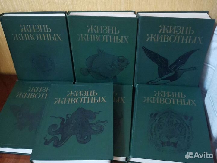 Энциклопедия жизнь животных