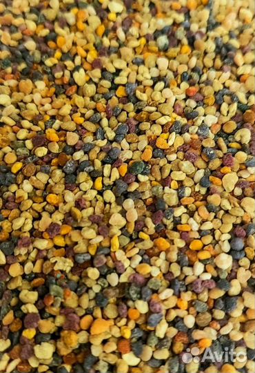 Пыльца цветочная (обножка) 2023г