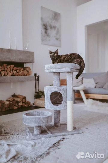 Новый домик для кошки