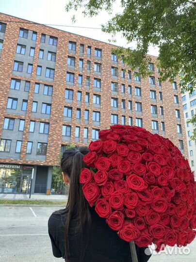 101 красная Роза