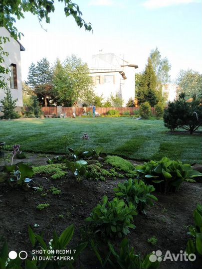 Рулонный Газон art/735