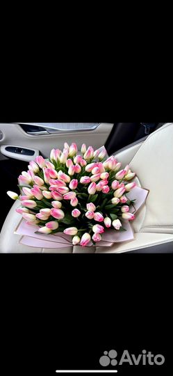 Тюльпаны к 8 марта
