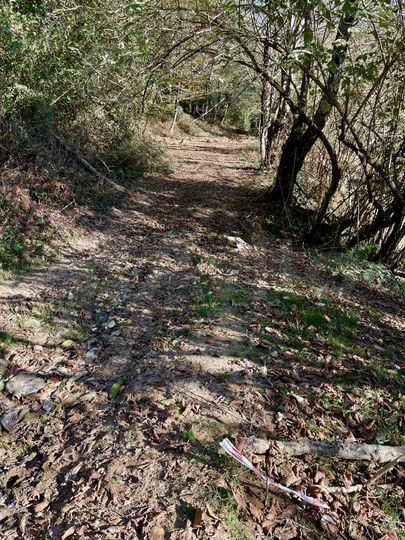 Участок 5,8 сот. (СНТ, ДНП)