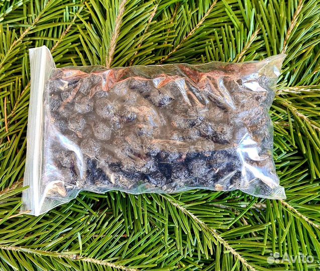 Амурский бархат при сахарном диабете