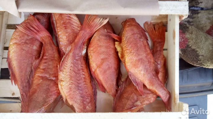 Скумбрия горячего копчения