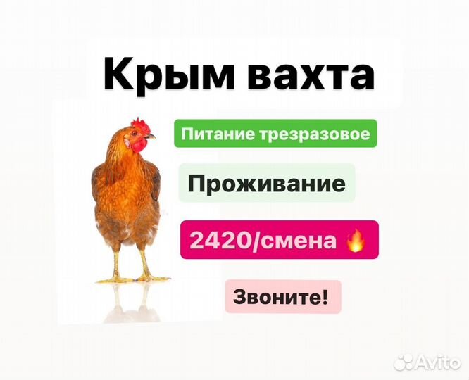 Разнорабочие вахтой.Купим билет