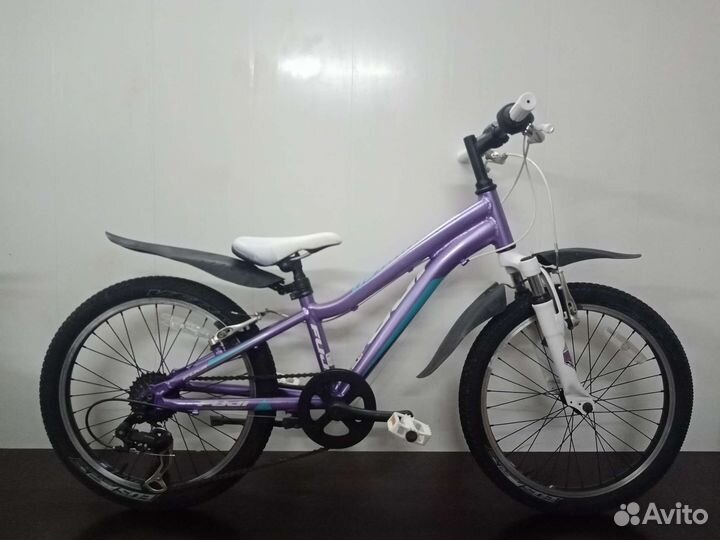 Fuji Dynamite 20