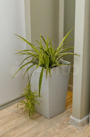 2-к. квартира, 45 м², 4/9 эт.