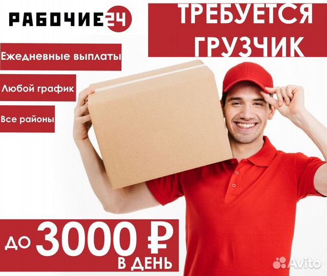 Грузчик подработка ежедневные выплаты