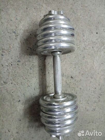 Гантеля 10 кг