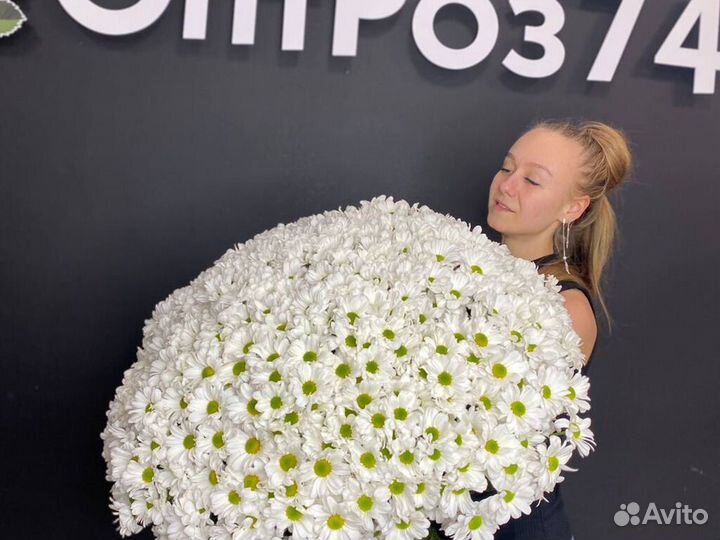 Букет 101 хризантема Доставка цветов хризантем 15