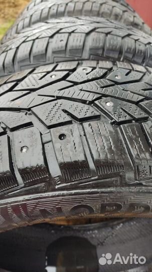 Gislaved NordFrost 100 195/65 R15