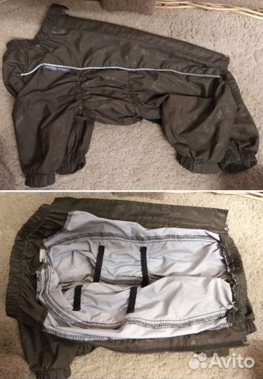 Вещи для небольшой собаки