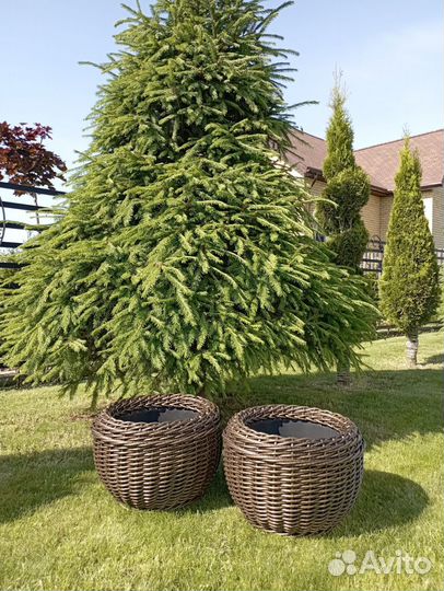 Кашпо, корзины из искусственного ротанга