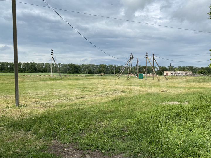 Свободного назначения, корпус, выгул, Теплицы, скл