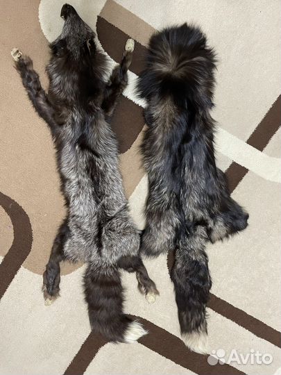 Шкурка животного