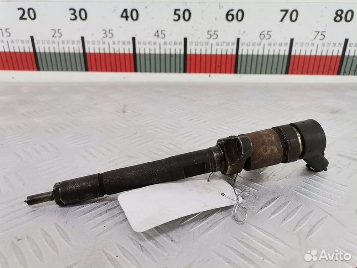 Форсунка для Peugeot-Citroen 307