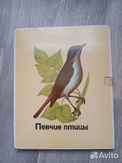 Сувенирные спички СССР 