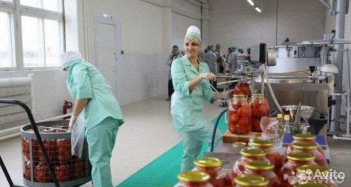 Разнорабочие/Вахта/Славянск на Кубани/ Без опыта