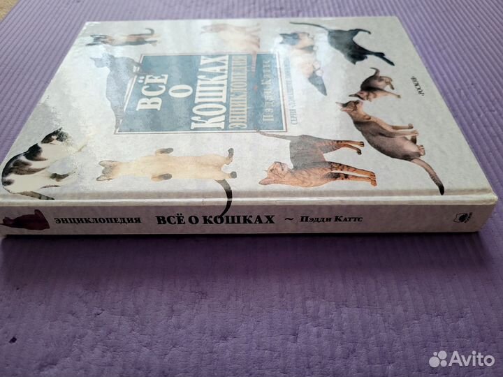 Энциклопедия. Все о кошках