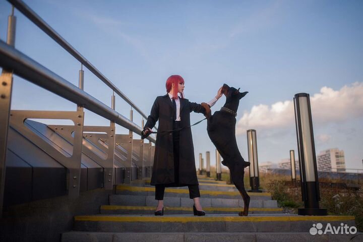 Доберман для фотосессии