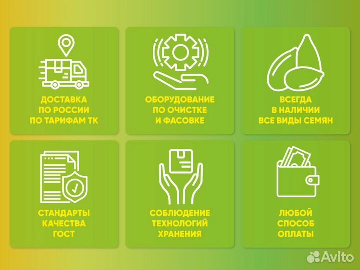 Семена свекла кормовая