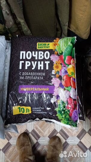 Грунт для рассады