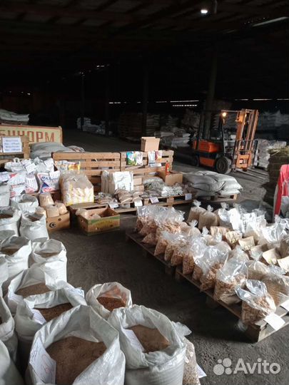 Зерно: пшеница, овес, ячмень. Отруби. Дробленка