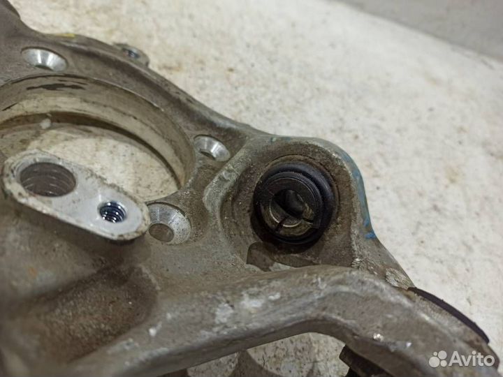 Кулак задний правый