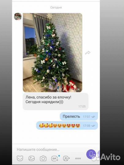 Ель царская премиум