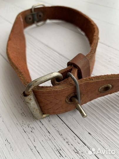 Поводок и ошейник