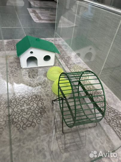 Хомяк с клеткой