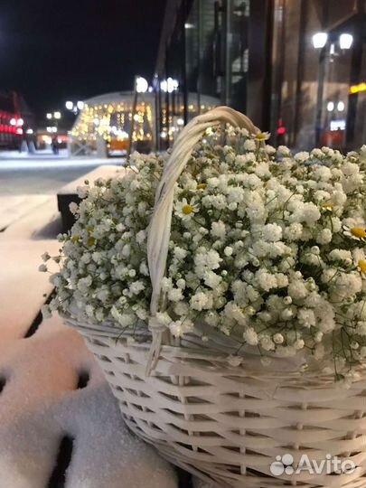 Букет из гипсофилы