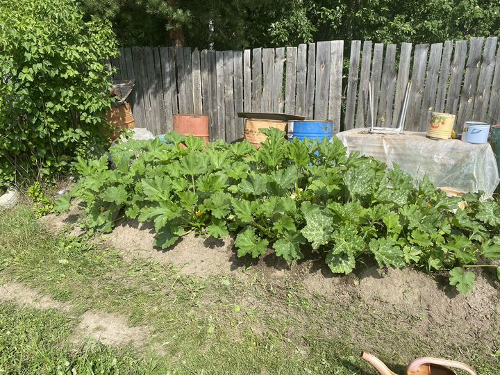 Участок 8 сот. (ИЖС)