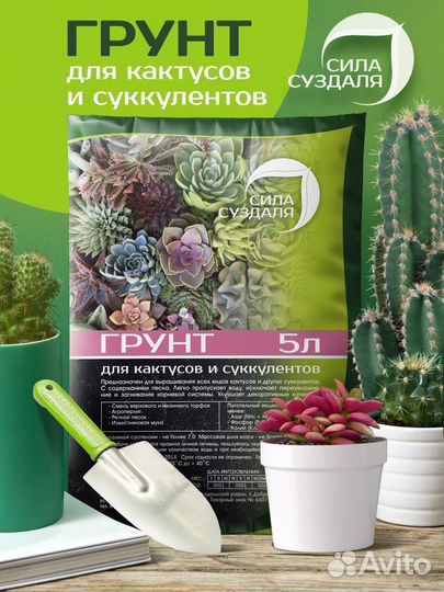 Грунт для кактусов и суккулентов