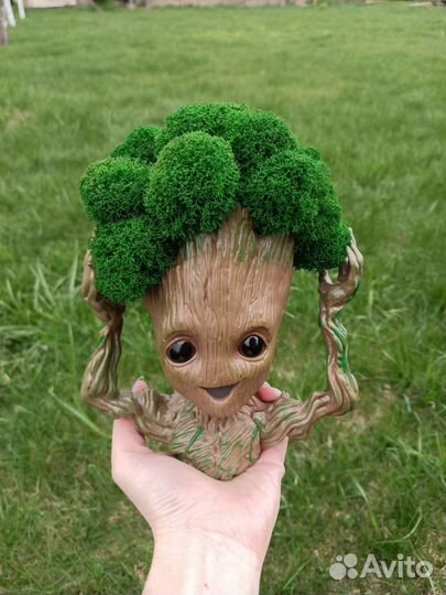 Грут шапка из мха