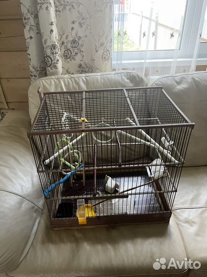 Клетка для попугая