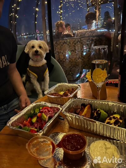 Мальтезе вязка