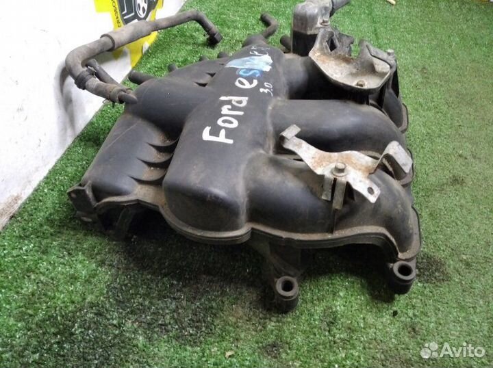 Коллектор впускной Ford Escape EP3 AJ 2001