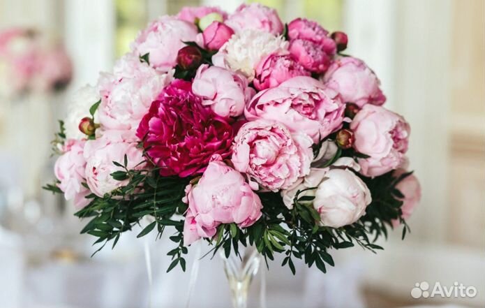 Пионы букет опт