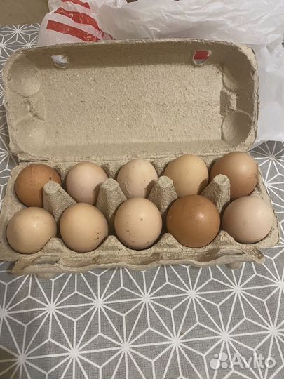 Яйца домашние