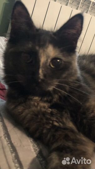 Машулька маленькая прелесть